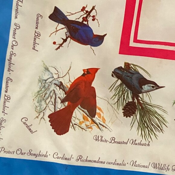 Vtg 1975 National Wildlife Federation Protect our Songbirds Square Scarf 22"x22" - Picture 2 of 10